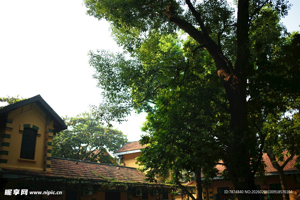 越南绿树环绕的古朴建筑