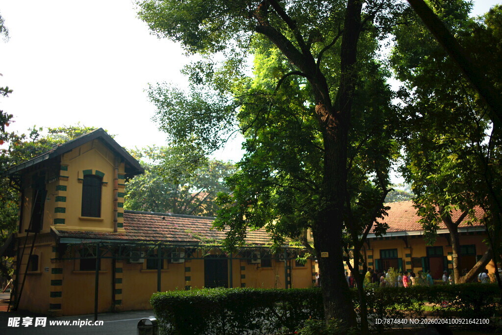 越南绿树环绕的古朴黄屋