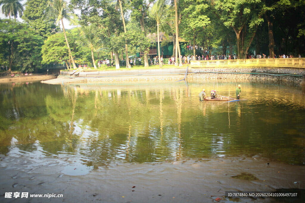 越南宁静池塘边的绿树倒影