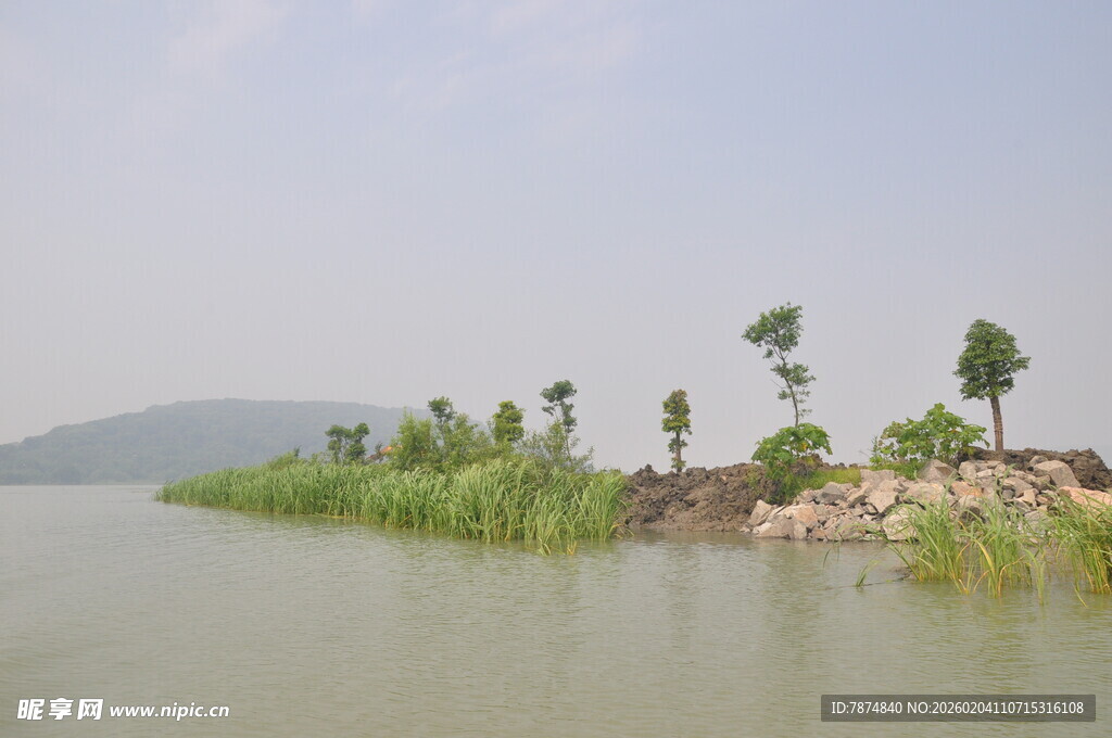 湖畔绿树成荫的宁静小岛