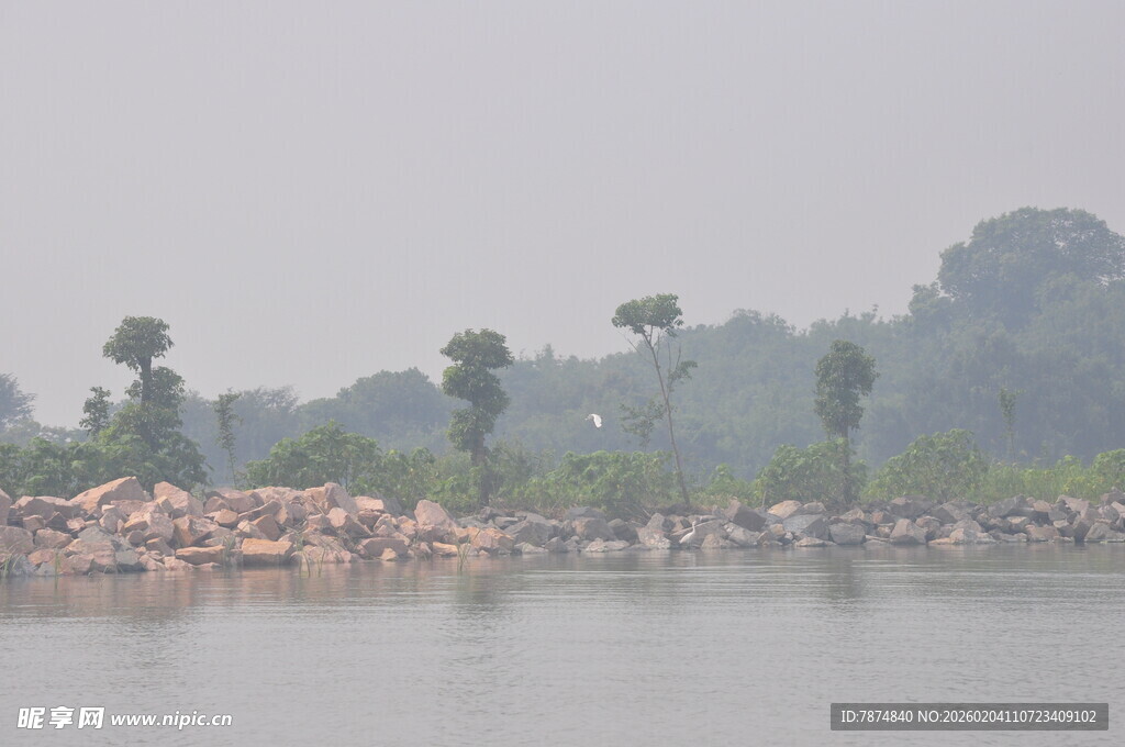 湖畔朦胧景 岸边树影绰