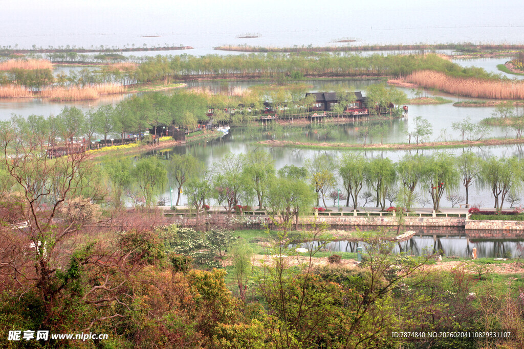 水乡田园风光美景