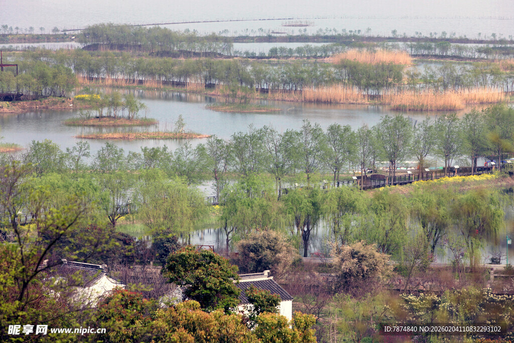 春日湖畔绿树成荫美景