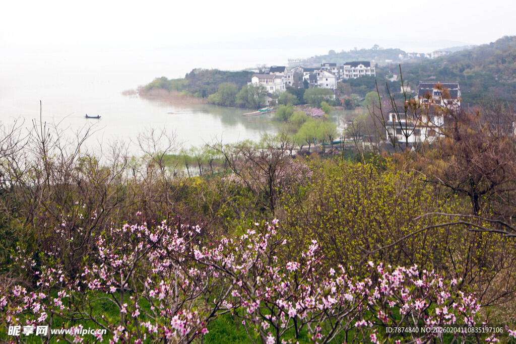 湖畔繁花盛开的美丽景致