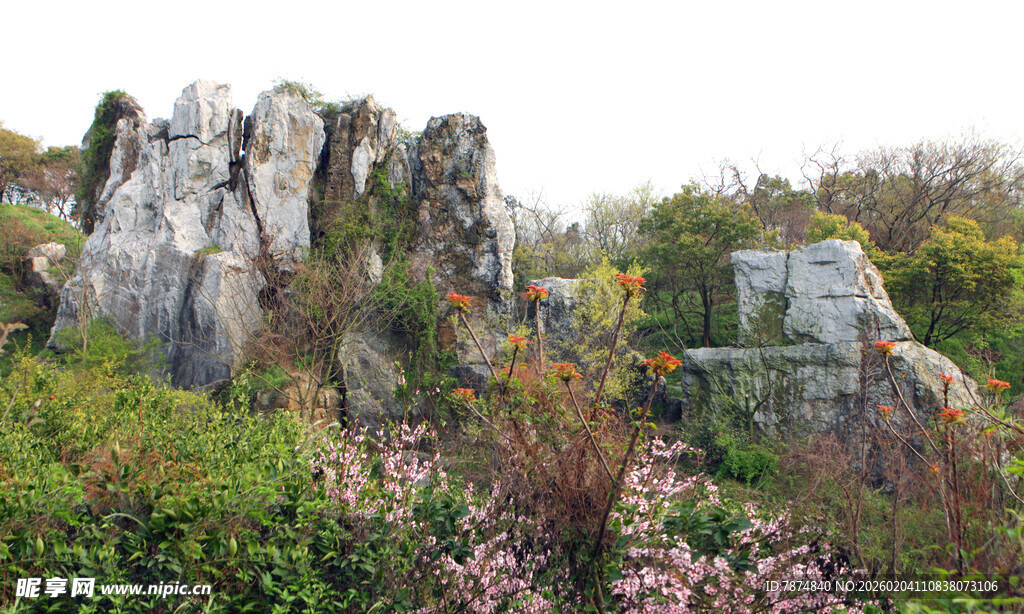 园林奇石与繁茂花草景观