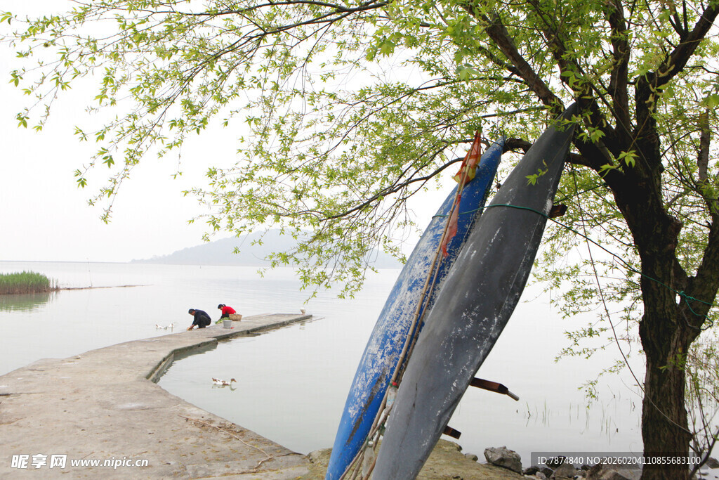 岸边树旁的冲浪板与美景