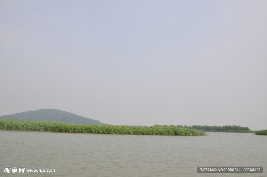 湖畔风光 绿意盎然的水域