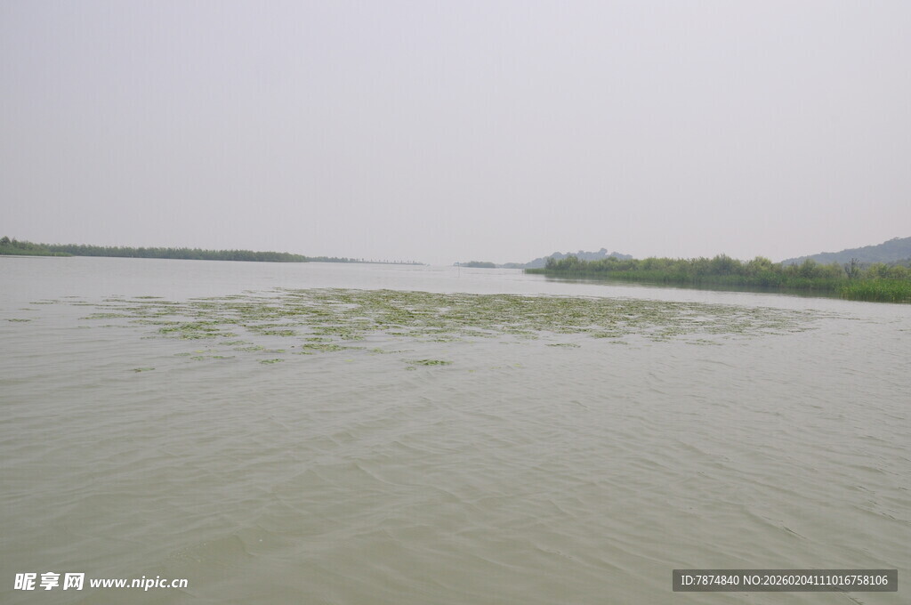 平静湖水与远处绿意