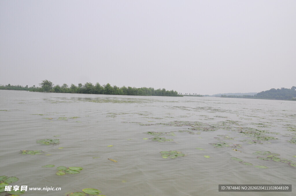洪水泛滥的开阔水域景象