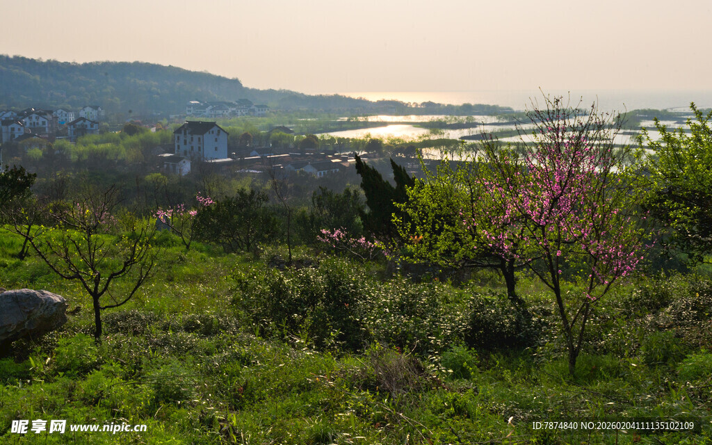 春日山野风光美景