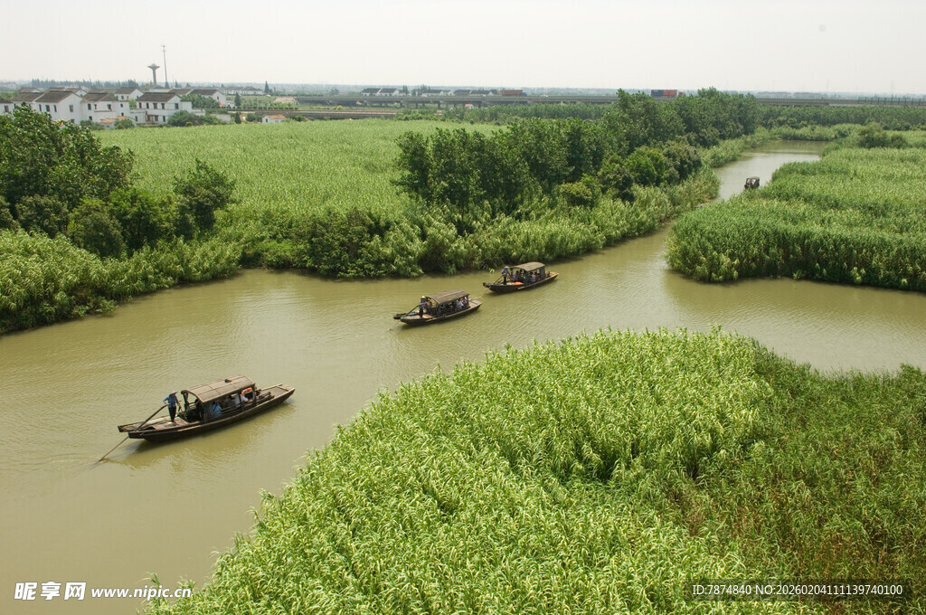 水乡河道中的船只与绿植