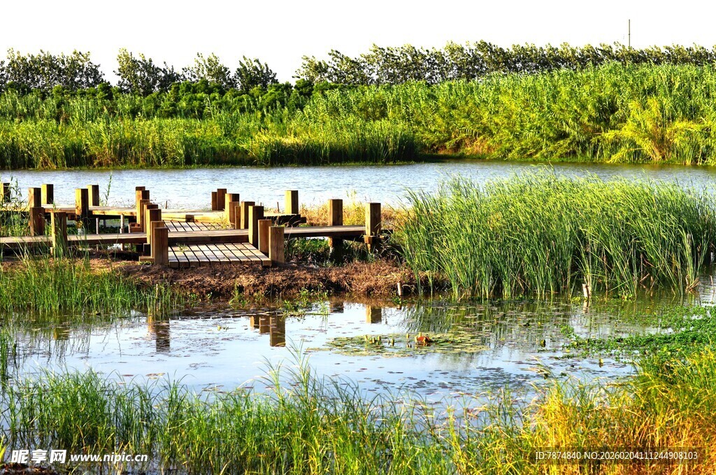 宁静湖畔木栈桥风景