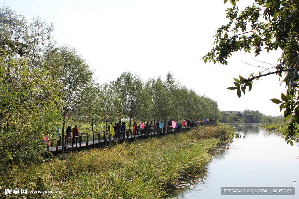 河畔观光小火车穿行树林间