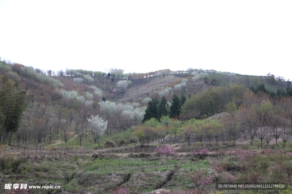 山间开阔景致 植被繁茂