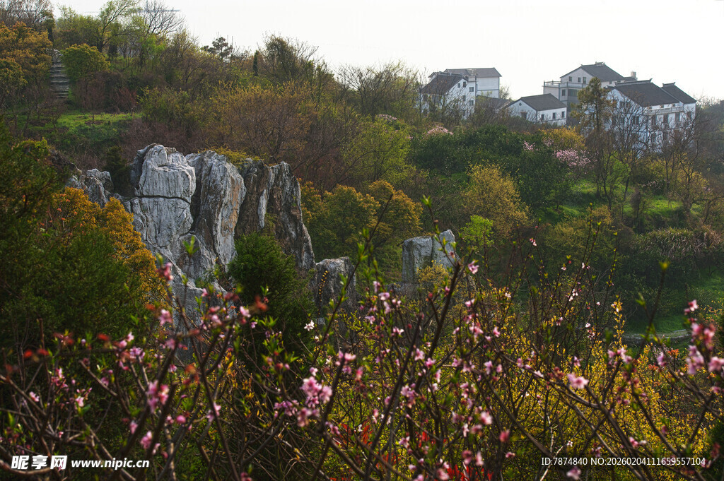 春日山间繁花与嶙峋怪石