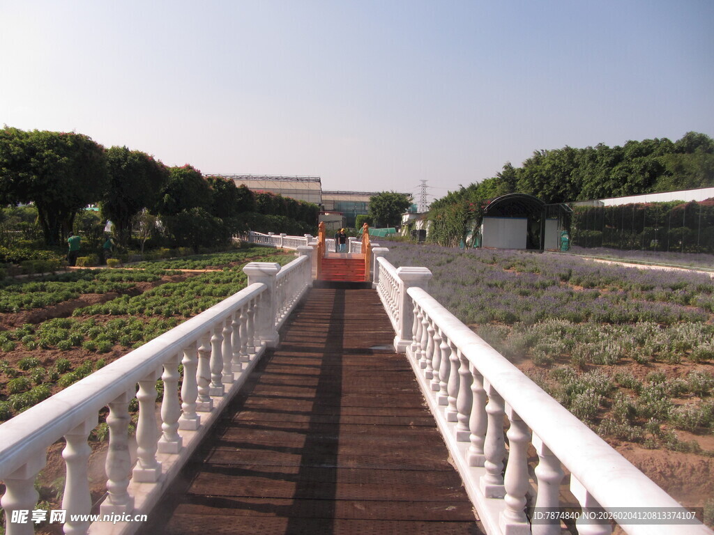 木质栈道延伸至远方田园