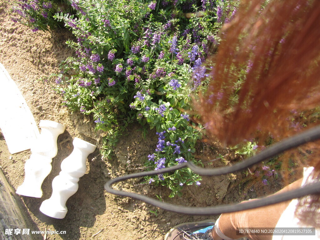 手持农具打理花园植物