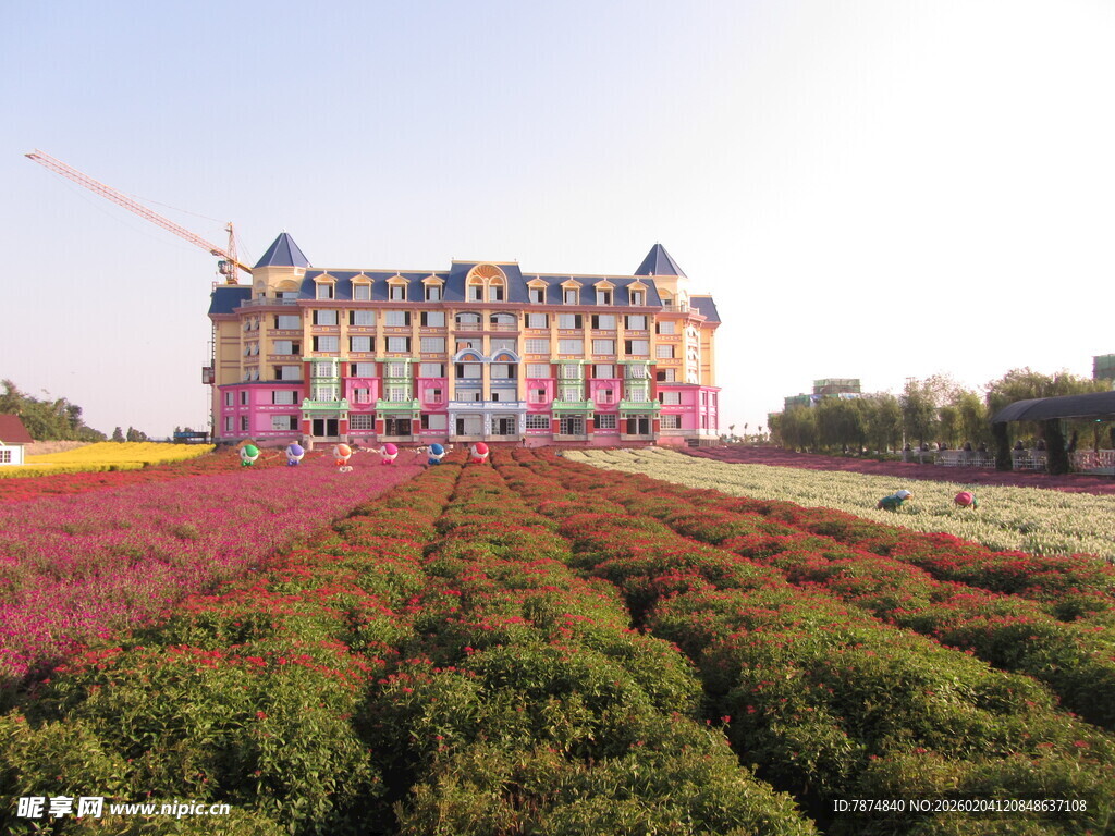 梦幻城堡旁的多彩花田