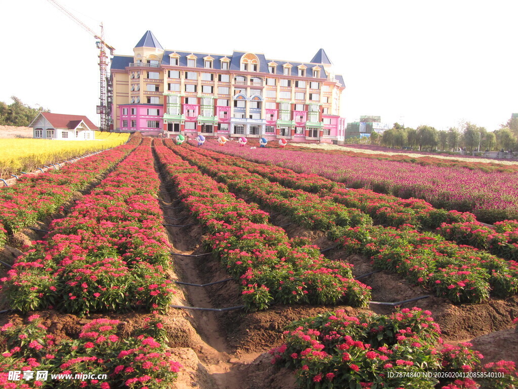 花海中的梦幻城堡
