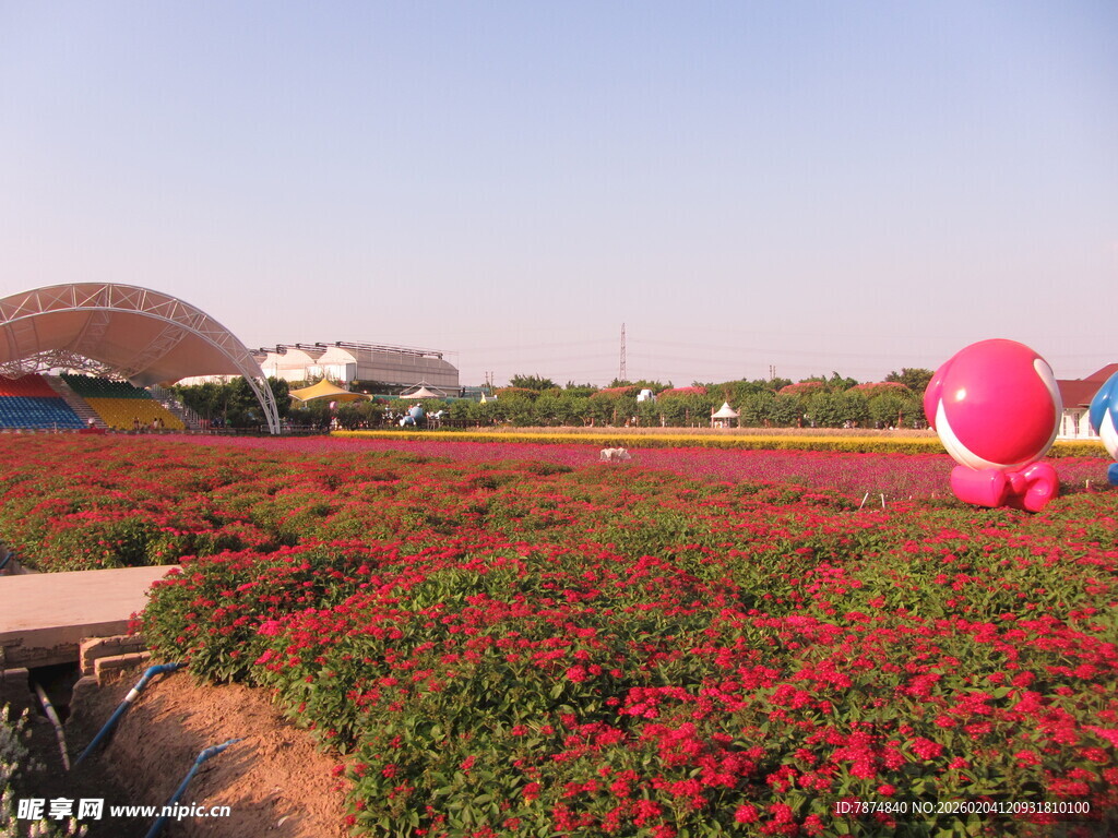 花海美景 巨型粉球点缀