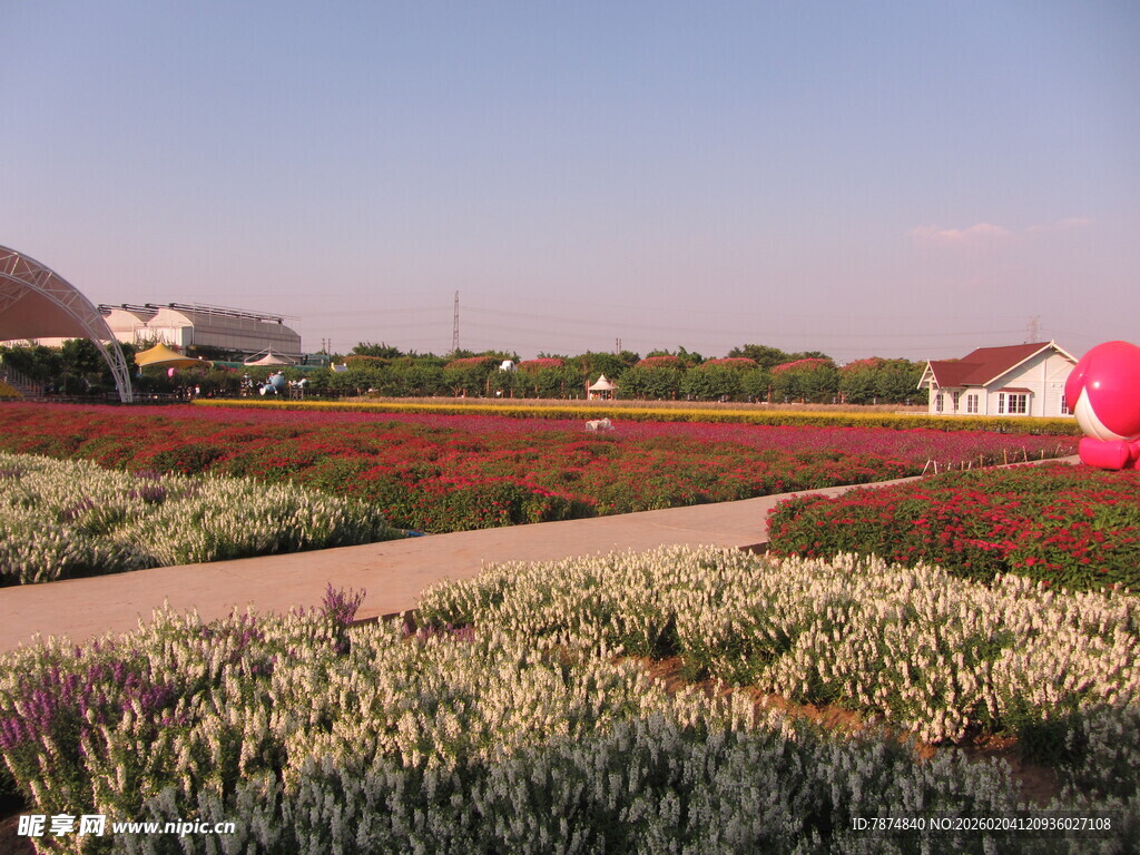 多彩花田景观