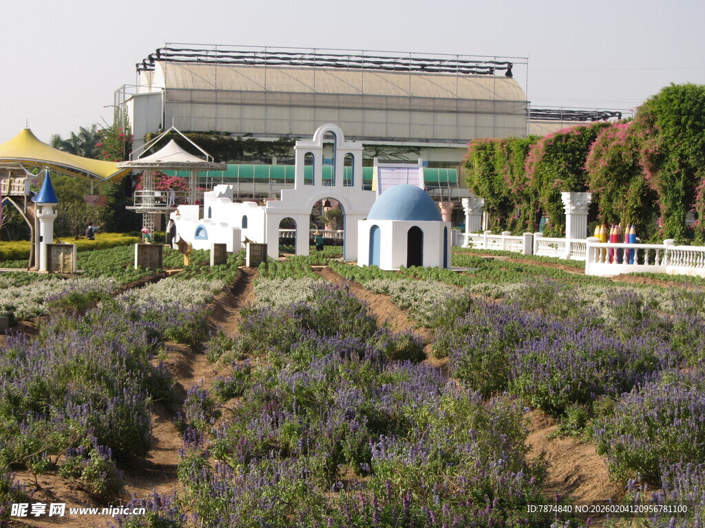 薰衣草田旁的特色建筑