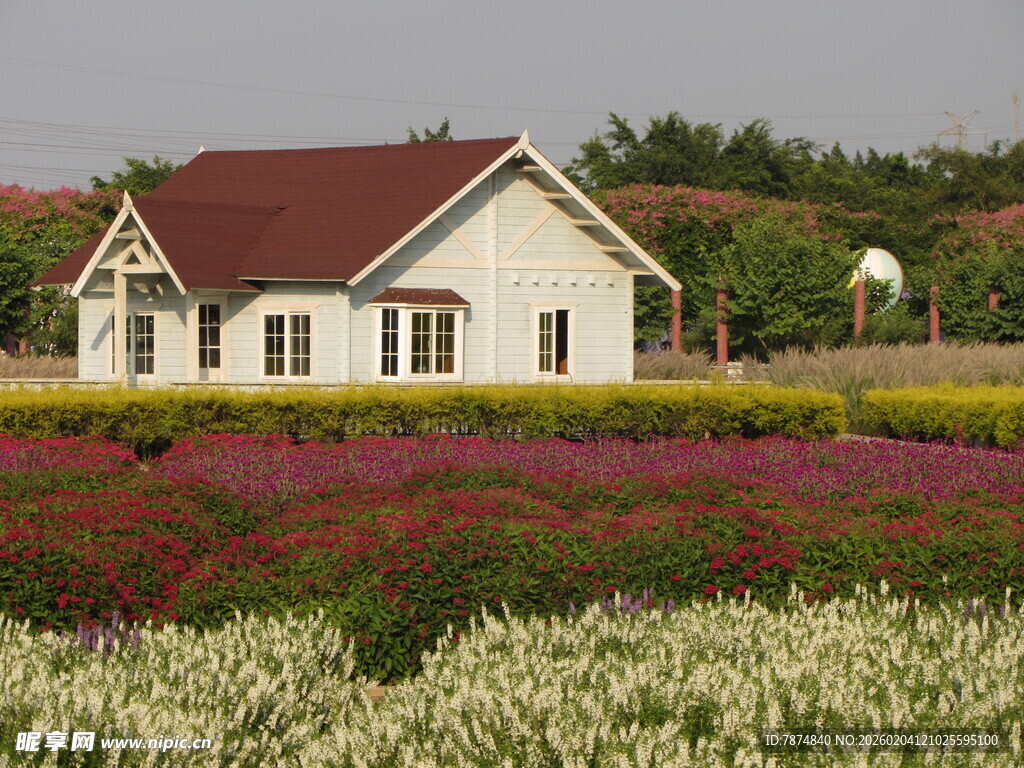 田园小屋旁的多彩花田