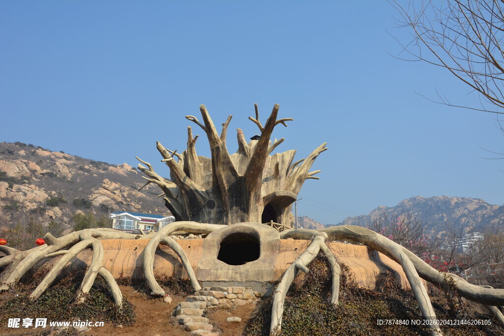 奇特树根造型景观