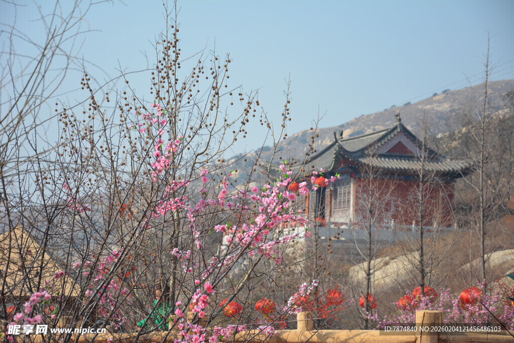 春日古亭旁的烂漫花枝