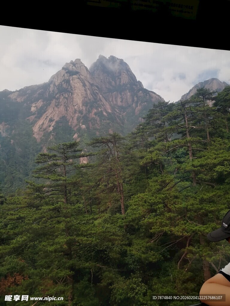 云雾缭绕的山林美景