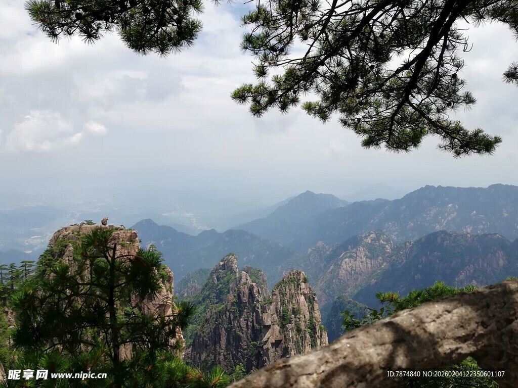 山巅松影下的壮美山色
