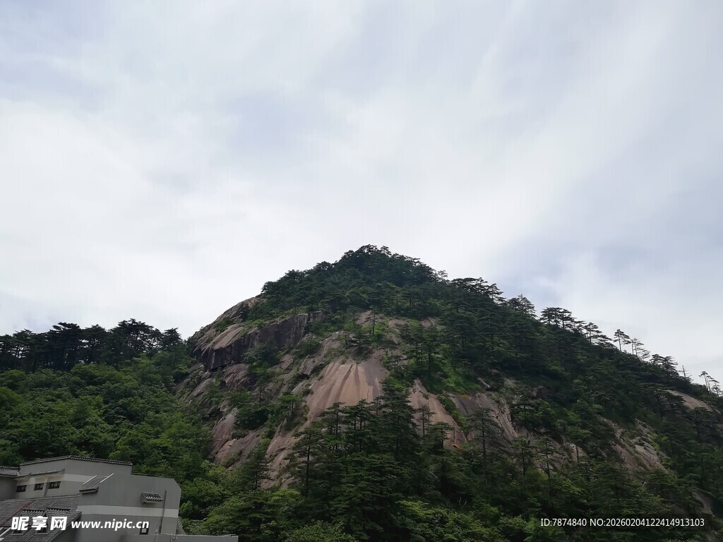 青山巍峨 绿意盎然