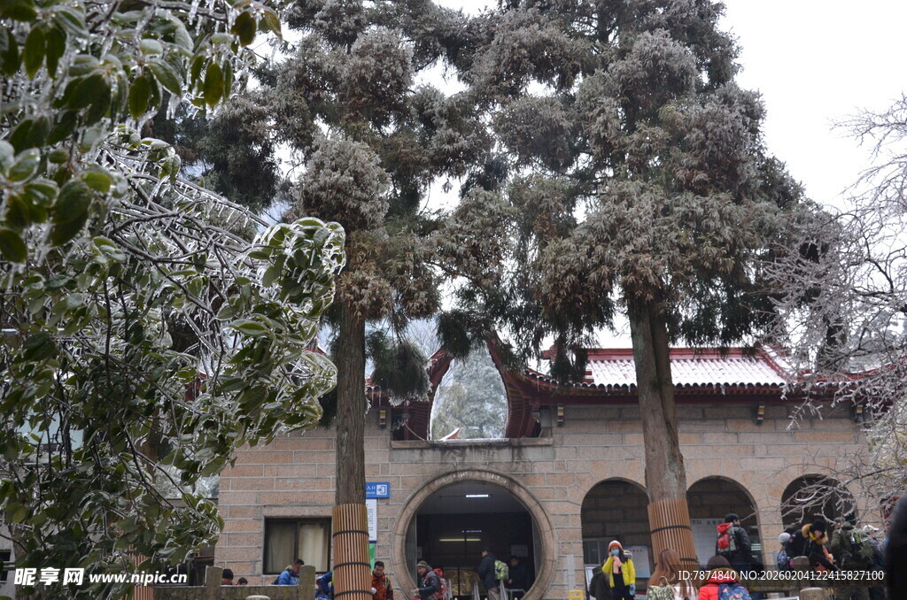 雪覆古建 游人赏景添韵致