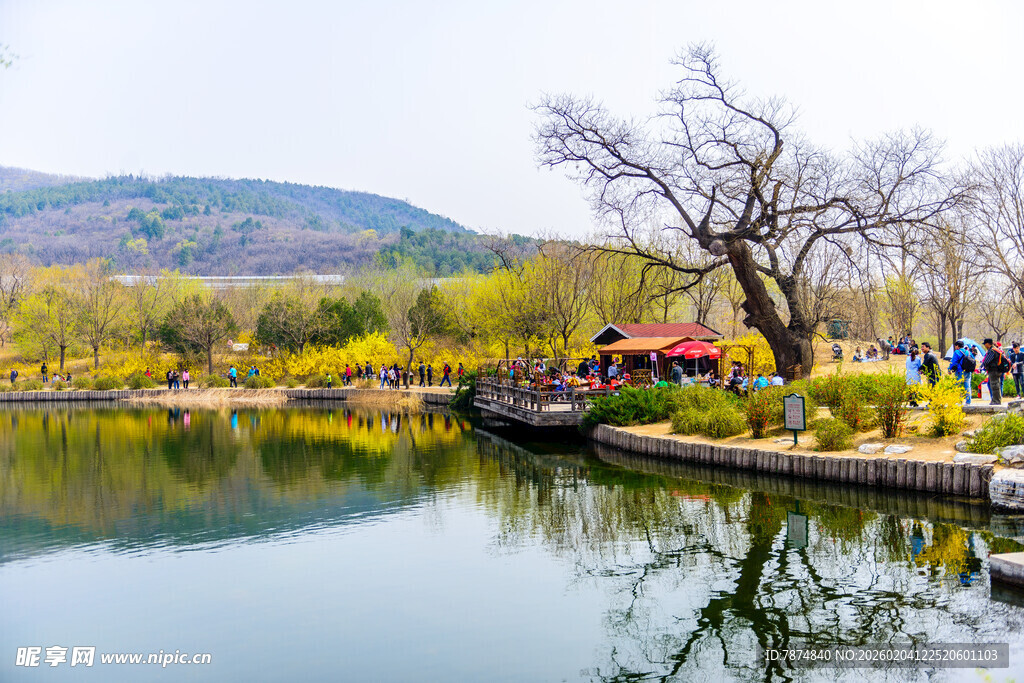 湖畔春日风光如画