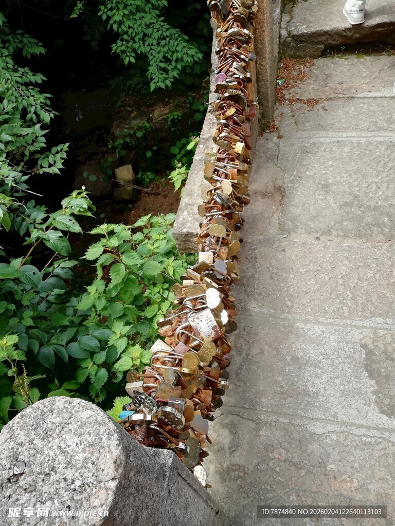 石边绿植装点的自然景致