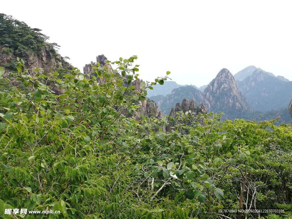 山林葱郁间的秀丽山景