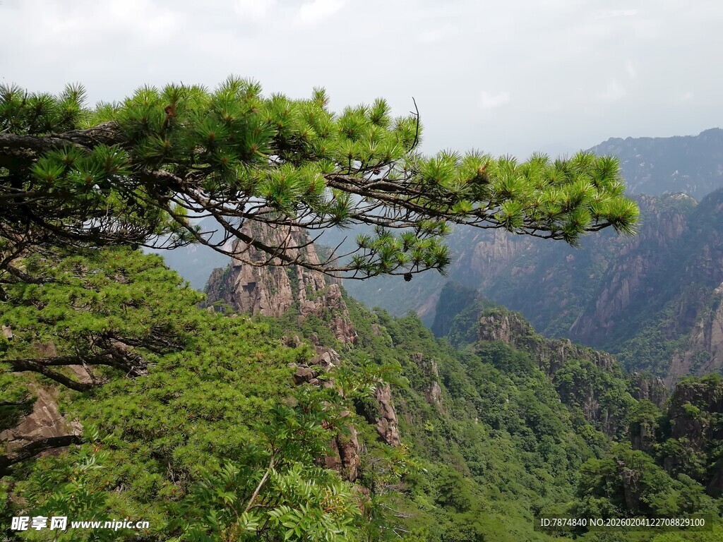 黄山松景 山峦绿意盎然