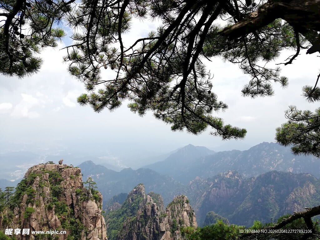 黄山松景下的壮丽山峦