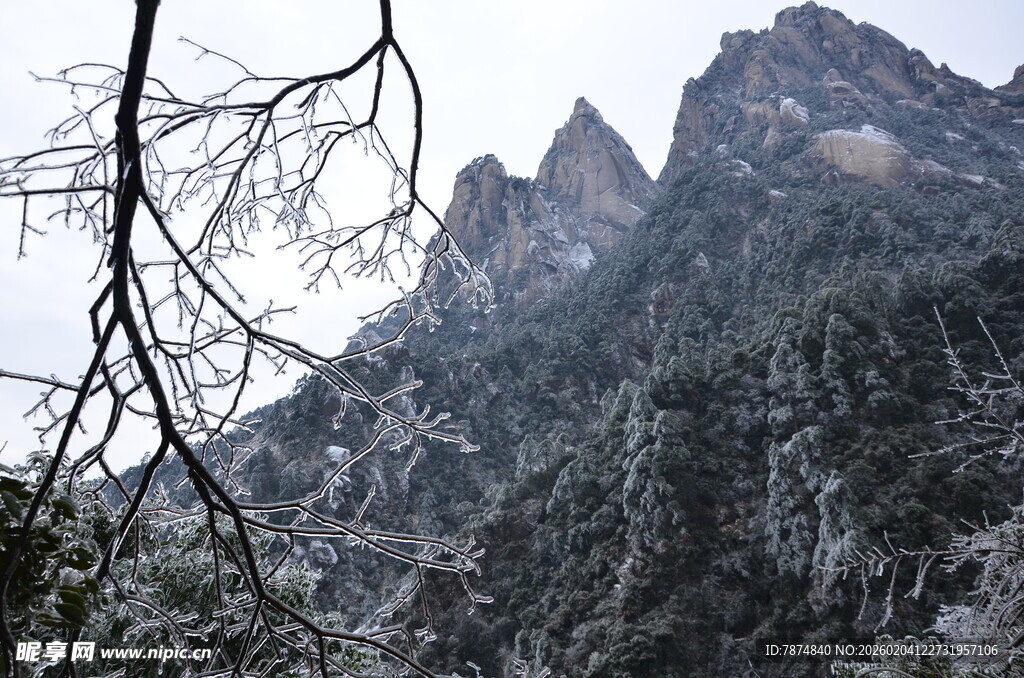 雪覆山峦与枝头景致
