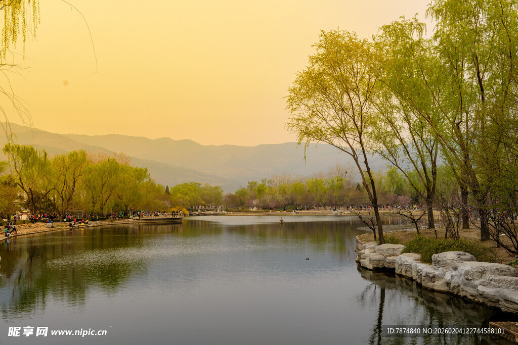 河畔柳影 黄昏静谧美景
