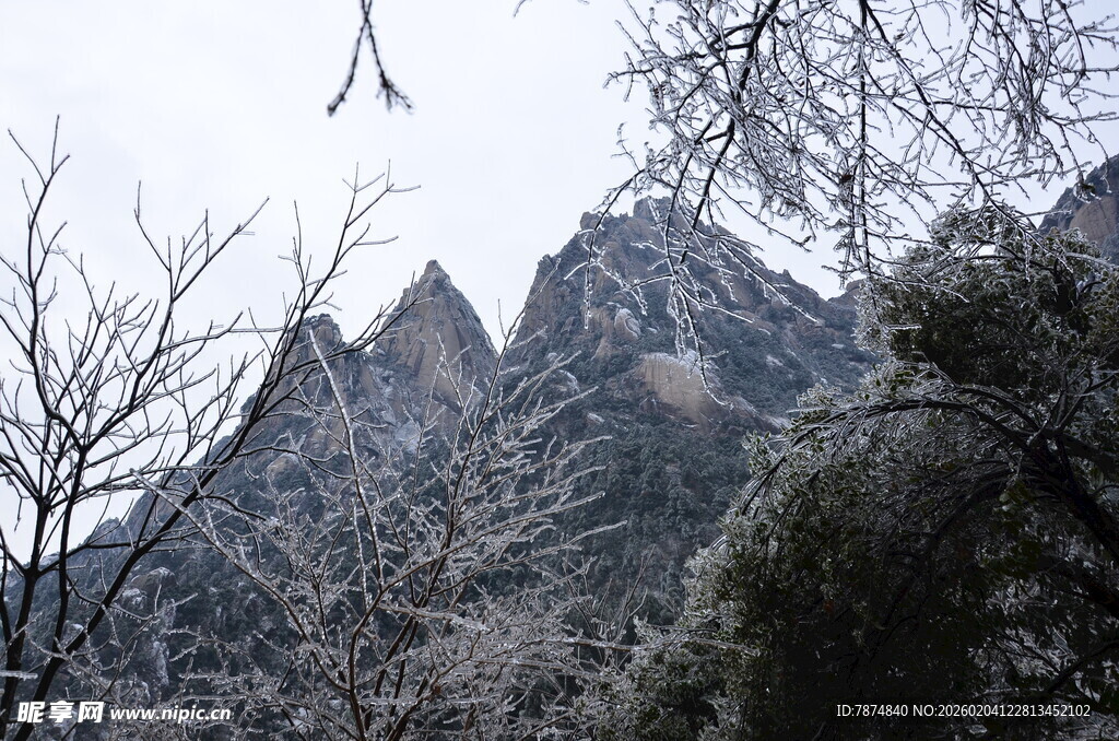 雪覆山峦与树木的美景