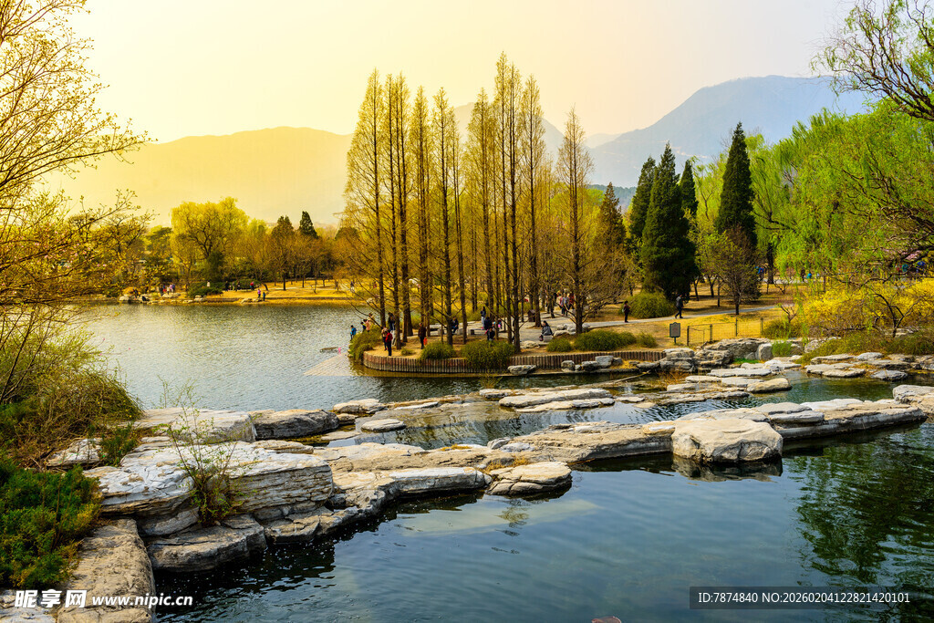 湖畔夕阳下的石径与树林