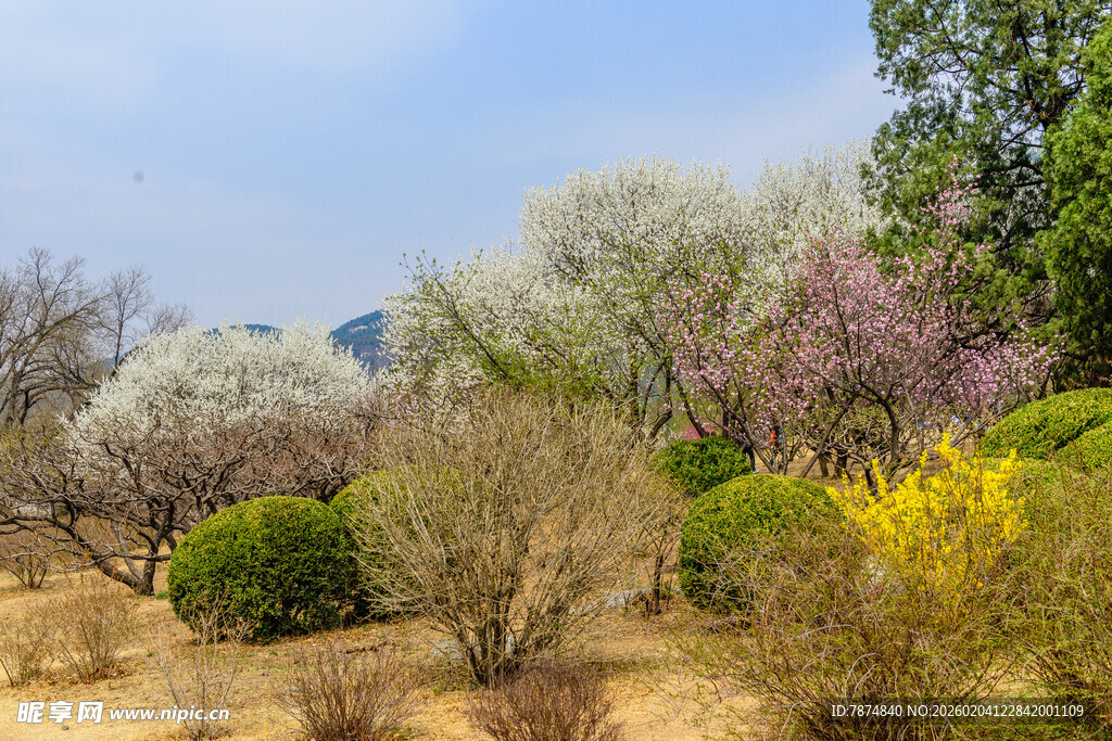春日多彩植物景观