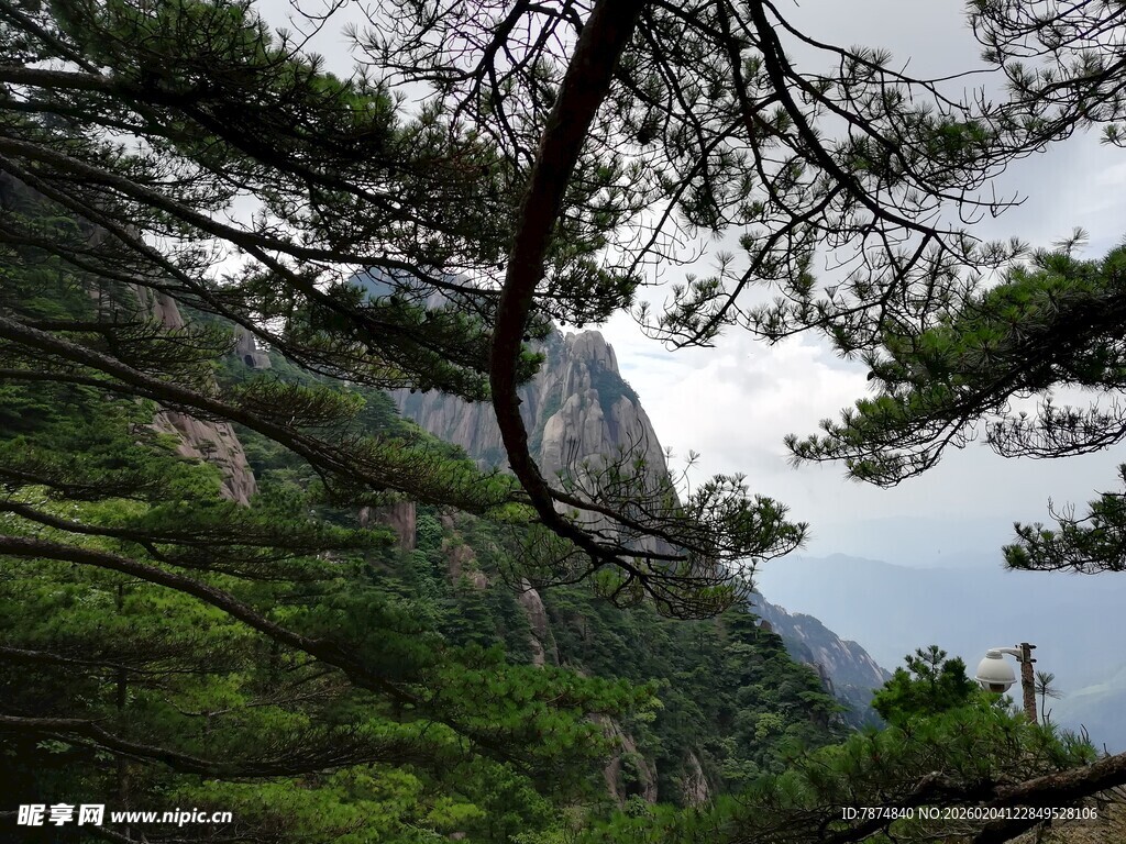 山间松景 自然秀丽风光