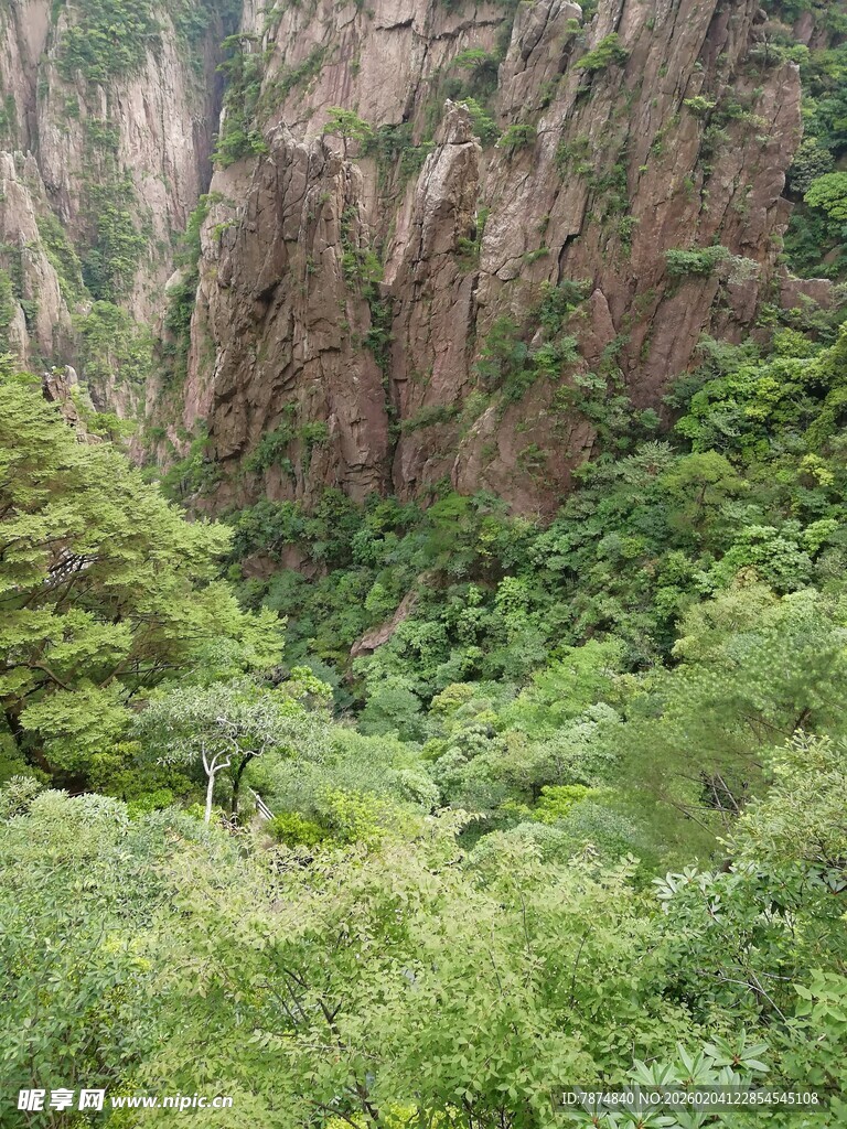 山间翠绿植被与陡峭岩壁