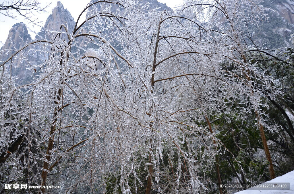 雪覆山林的壮美山景