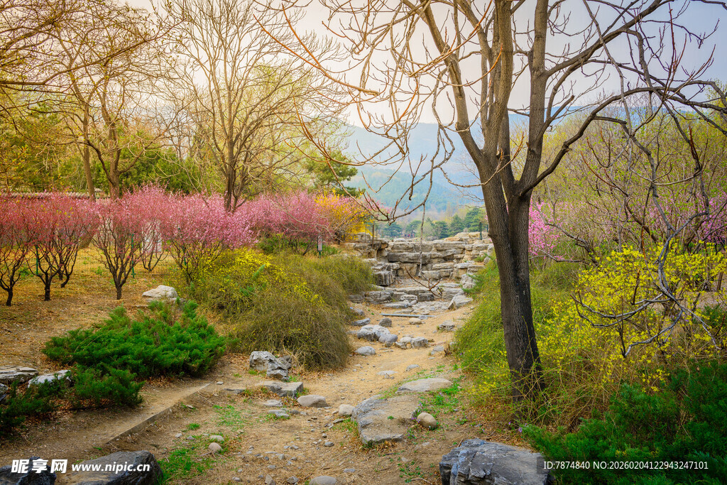 春日烂漫花园小径景色