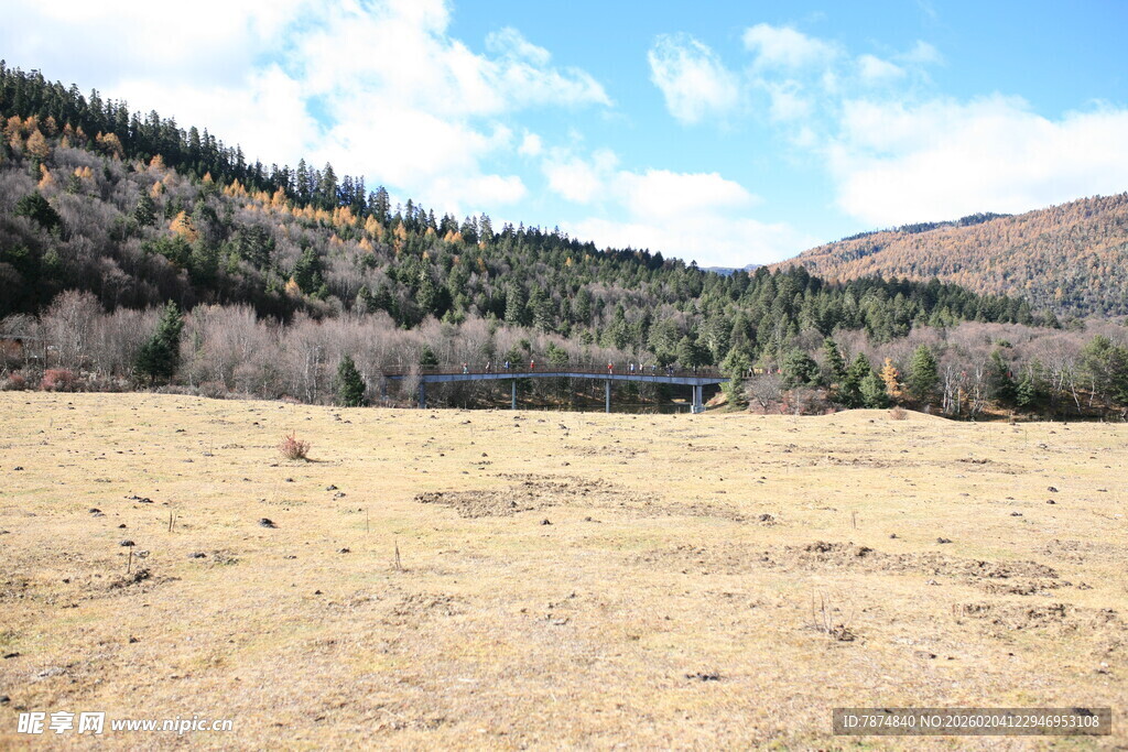 山间开阔草地风景