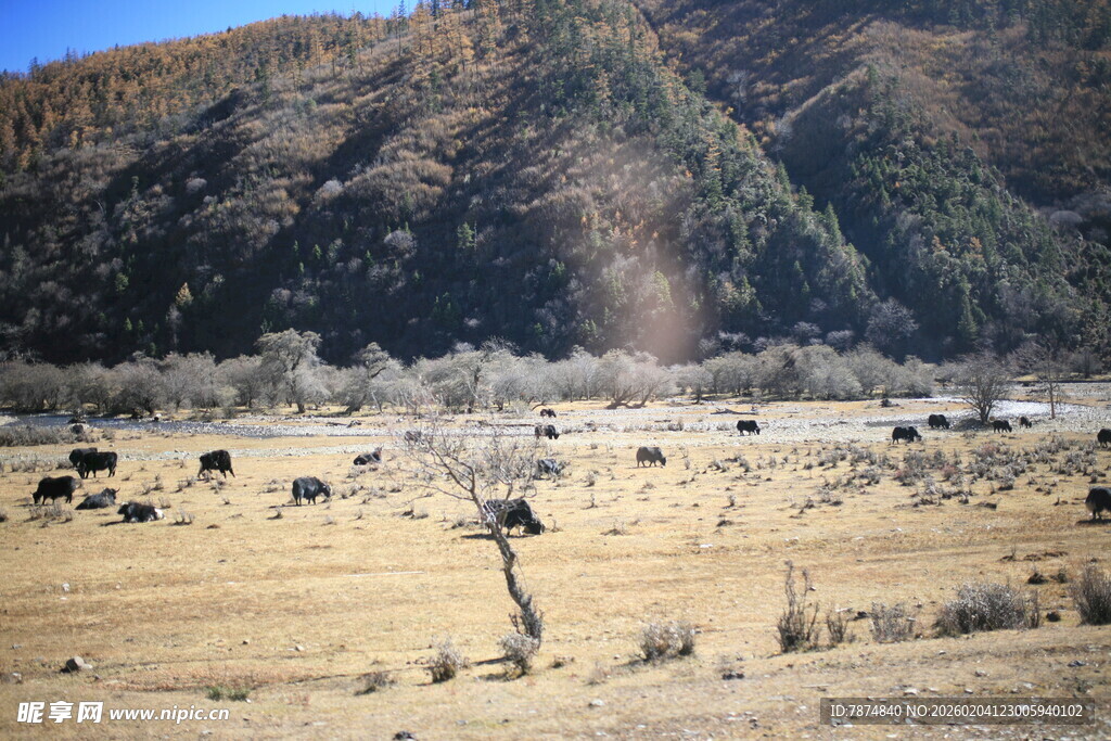 山间开阔地的荒凉景象