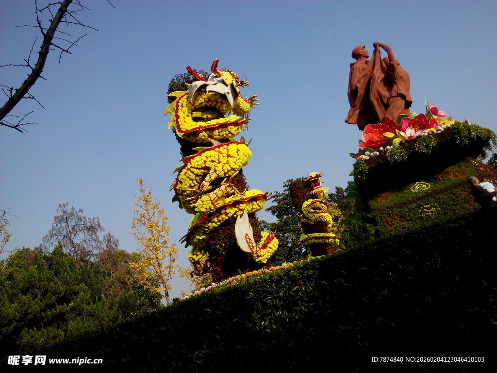 传统舞龙表演场景